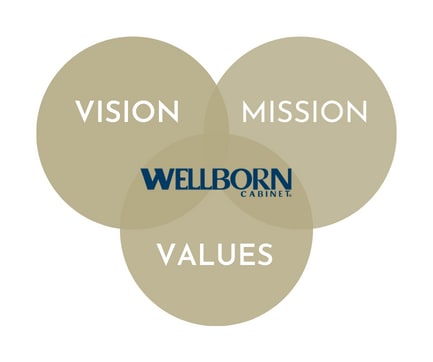 P252 Vision Mission Values Icon