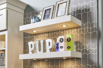 P699 Hafele Puck Lights Floating Shelves