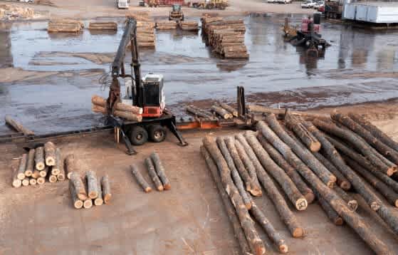 P305 Quality Begins with Tree 2