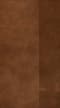Wellborn Cabinet Sample Chip in Maple and Character Maple with Sable finish.