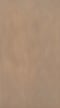 Wellborn Cabinet Sample Chip in Maple and Character Maple with Oatmeal finish.