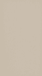 Wellborn Cabinet Sample Chip in Maple with Pebble finish.