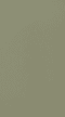 Wellborn Cabinet Sample Chip in Maple with Olive finish.
