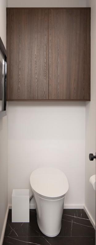 Arcadia is Decorative Laminate Veneer Door door group with a Slab cabinet door from Wellborn Cabinet.